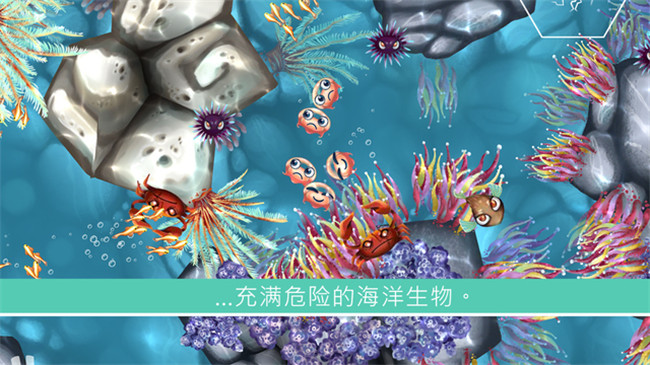 水母暗礁3.jpg