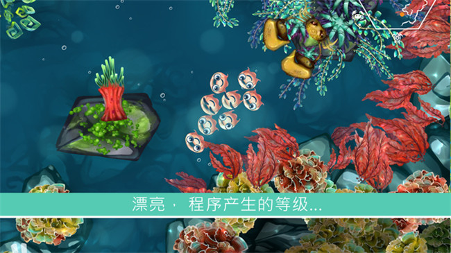 水母暗礁2.jpg