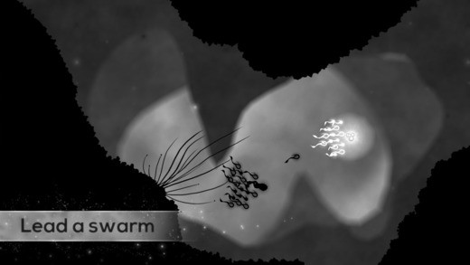 screenshot02.jpg