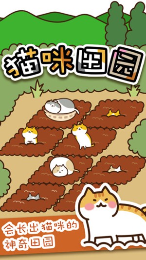 猫咪田园1.jpg