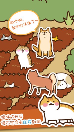 猫咪田园3.jpg