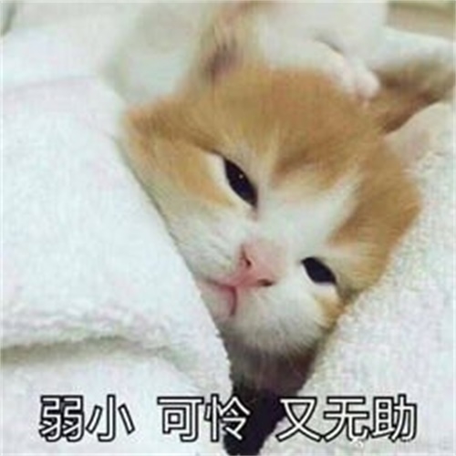 一人之下新闻配图4