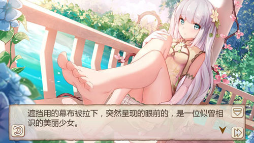 进阶贵妃《姬魔恋战纪》小莉旗袍装介绍
