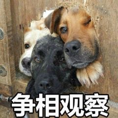 还原沉浸式的浩瀚科幻世界《诺亚传说手游》来袭