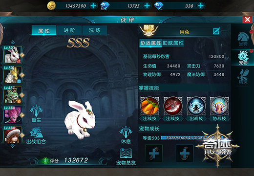 塔人《奇迹最强者》，魔剑士宠物搭配