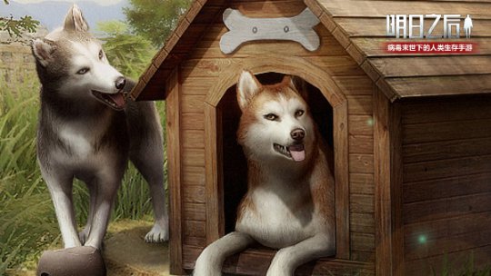 手游《明日之后》今日版本更新 新犬种哈士奇上线
