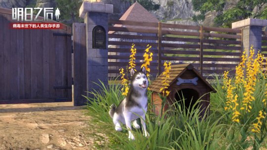手游《明日之后》今日版本更新 新犬种哈士奇上线