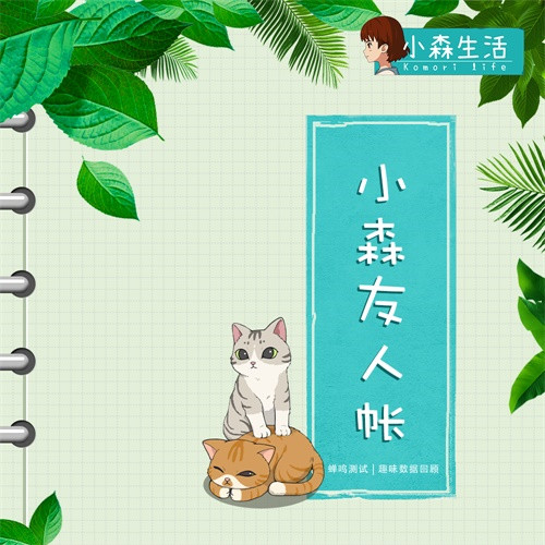 《小森生活》日记大放送!花音为大家在上一轮测试中的表现做了一本手册!