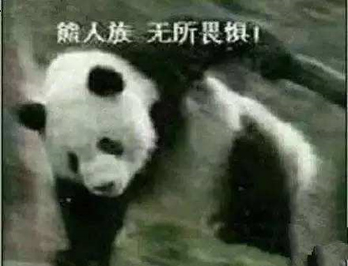 手游《战争艺术：赤潮》更新来袭 三名英雄实力增强