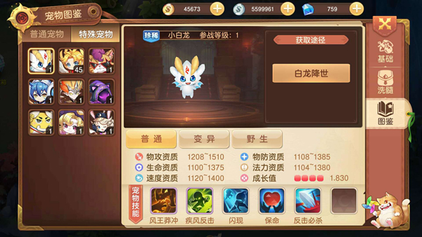 初心不变 《驯龙物语》手游7月26日火爆开测 