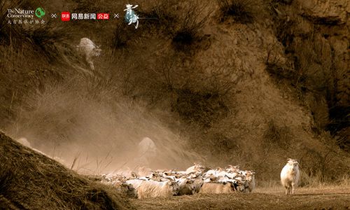 开启绿水青山之旅 东方侠客独立手游《青璃》今日iOS首发