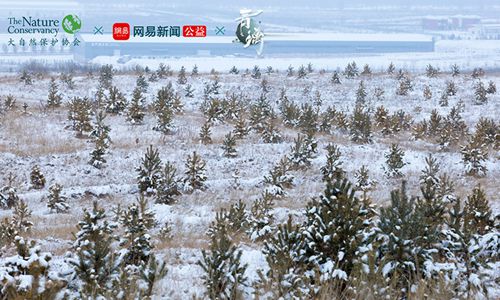 开启绿水青山之旅 东方侠客独立手游《青璃》今日iOS首发