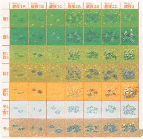 集合啦动物森友会花卉与杂草种植技巧