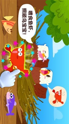 宝宝鸟类认知_图片2