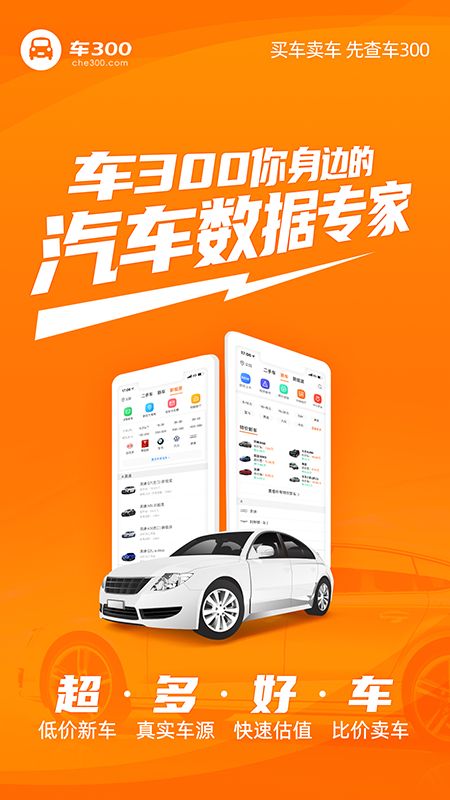 车300截图(2)