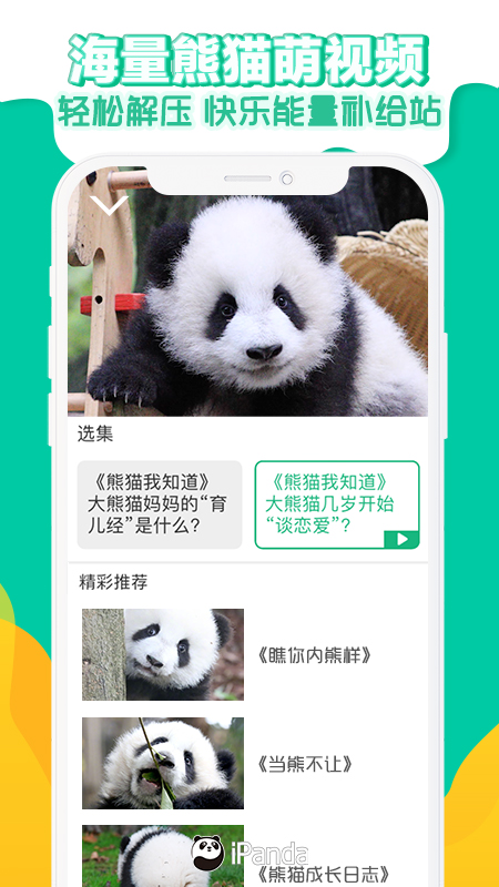 熊猫频道截图(4)