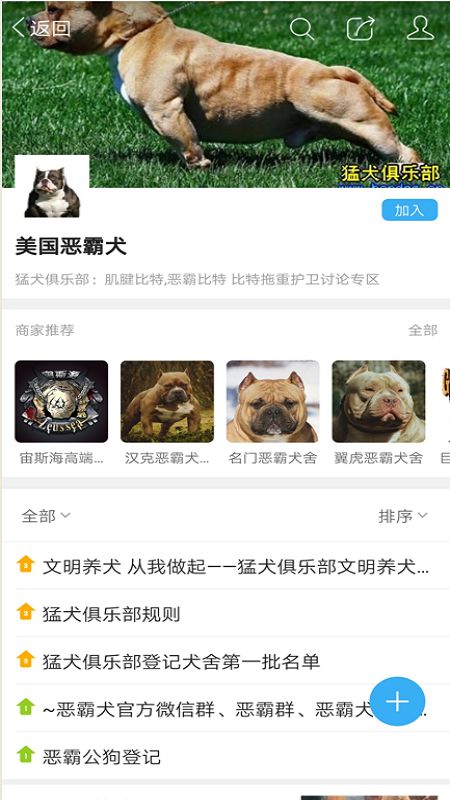 猛犬俱乐部截图(3)