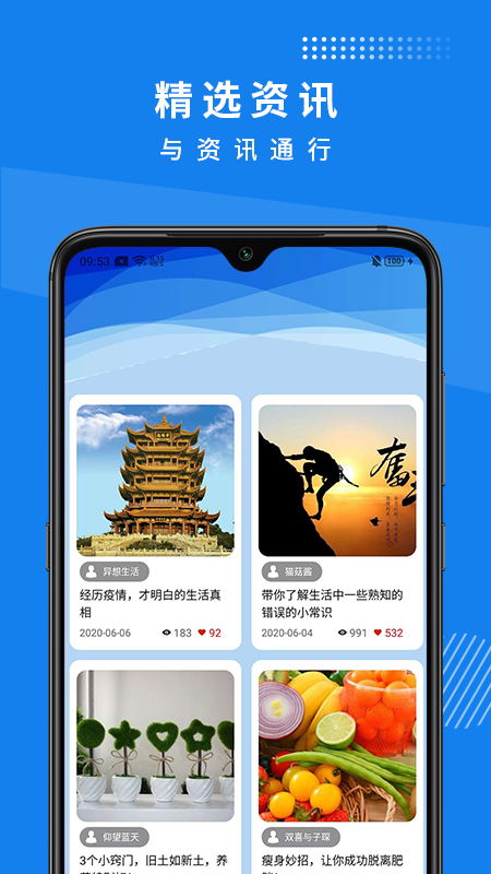 向日葵_图片2