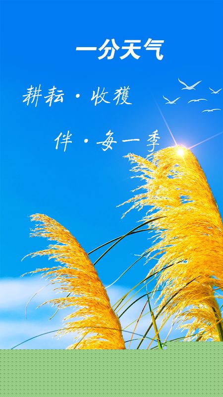 一分天气截图(1)