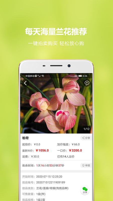 兰花交易网截图(4)