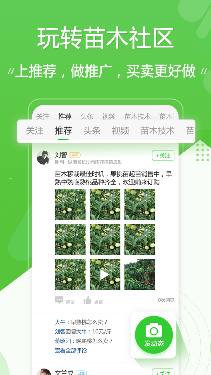 苗木通_图片2