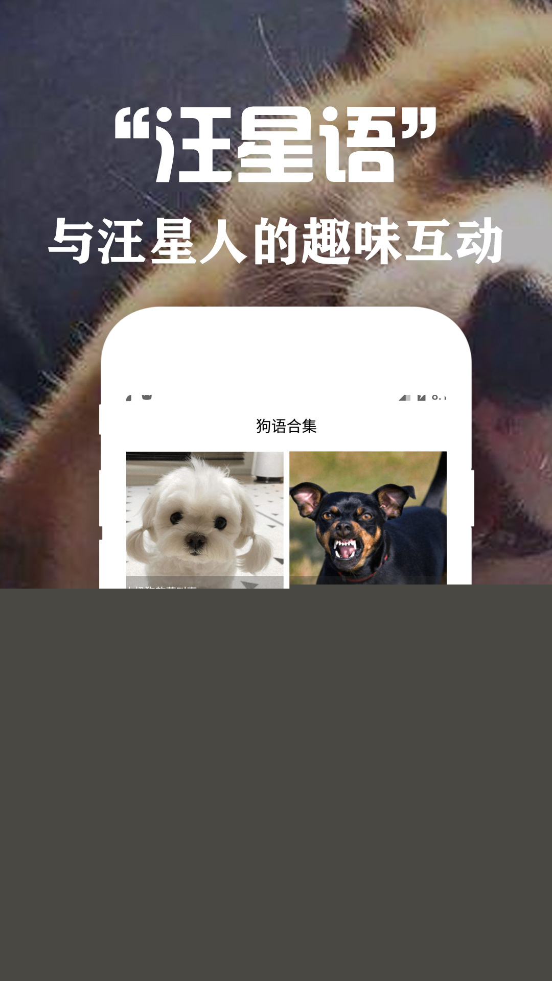 狗语翻译交流器截图(3)