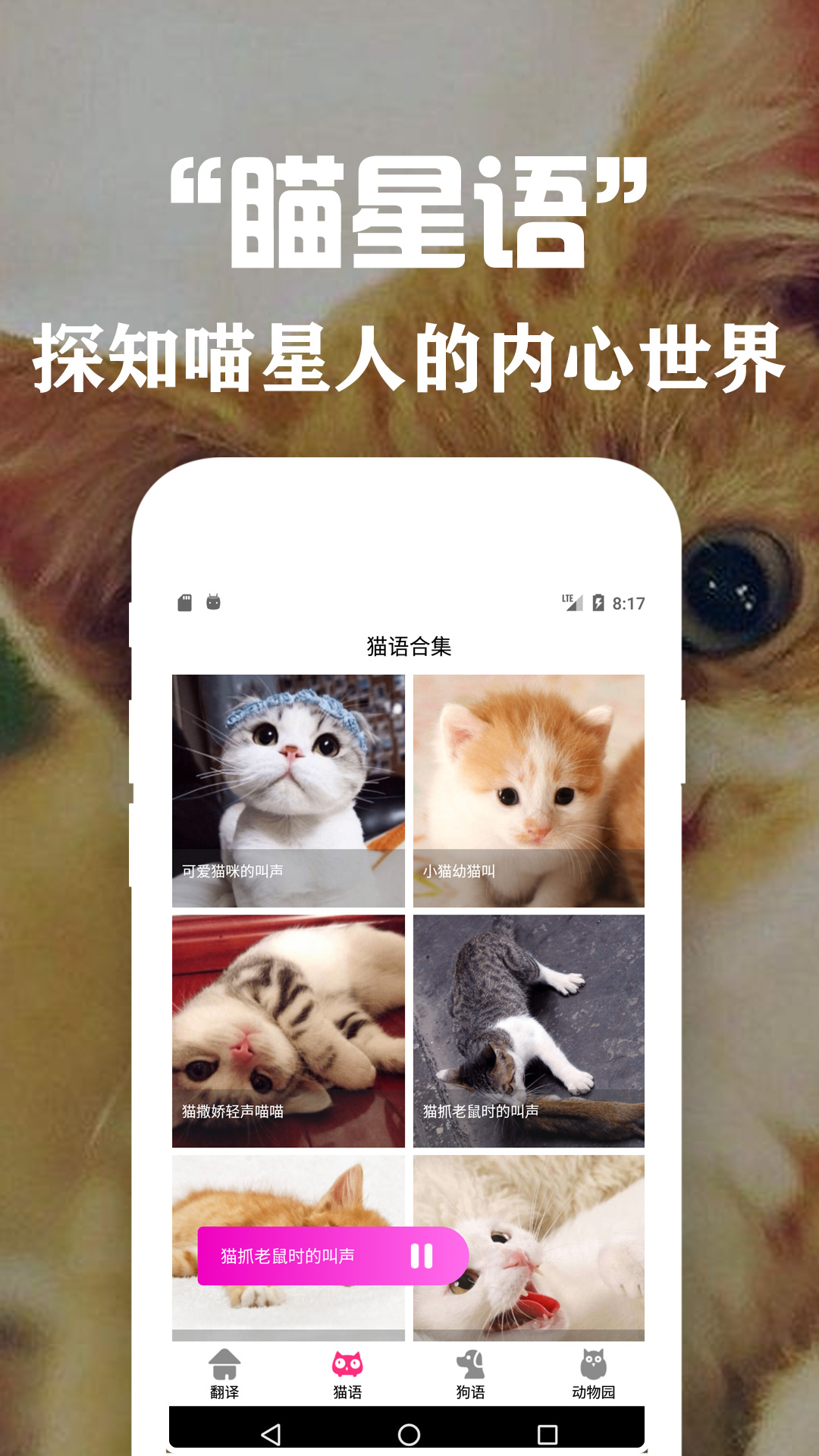 狗语翻译交流器截图(4)