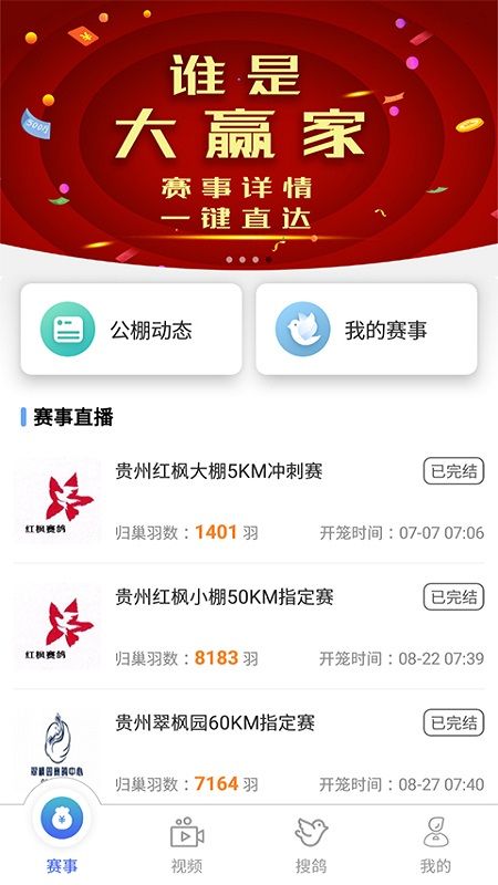 赛鸽助手截图(1)