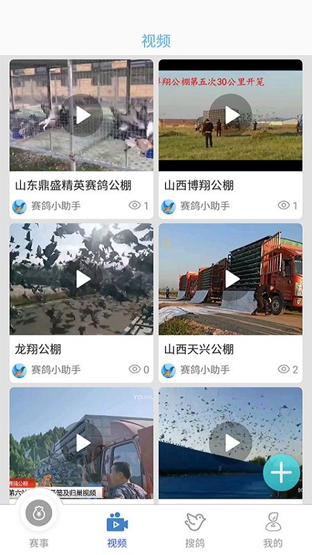 赛鸽助手截图(2)