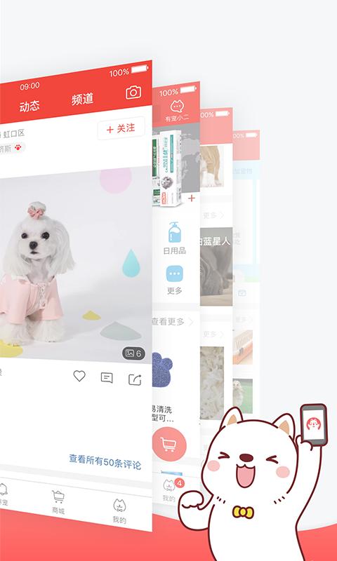 有宠_图片2