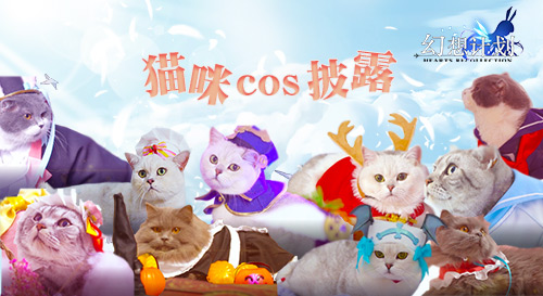 幻想计划