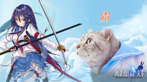幻想计划12