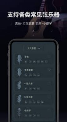 吉他电子调音器图1