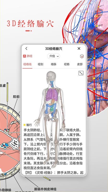 3Dbody解剖app图2