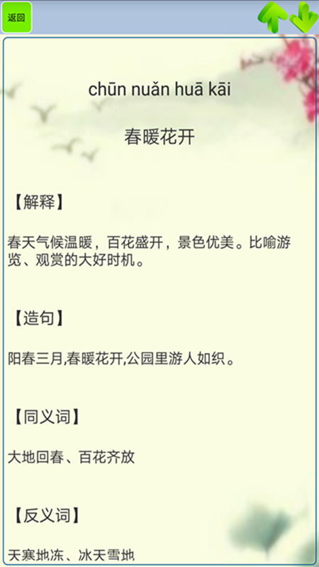 小学生成语app图5