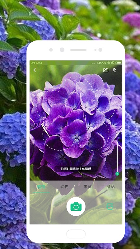 识物app图1