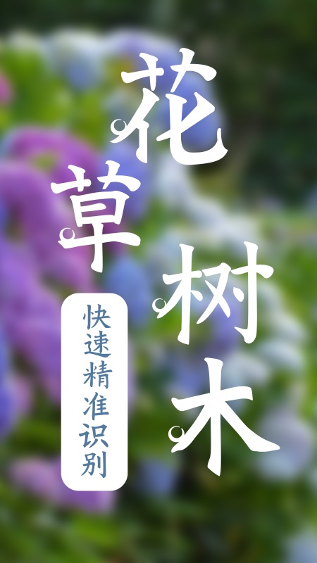 识物app图2