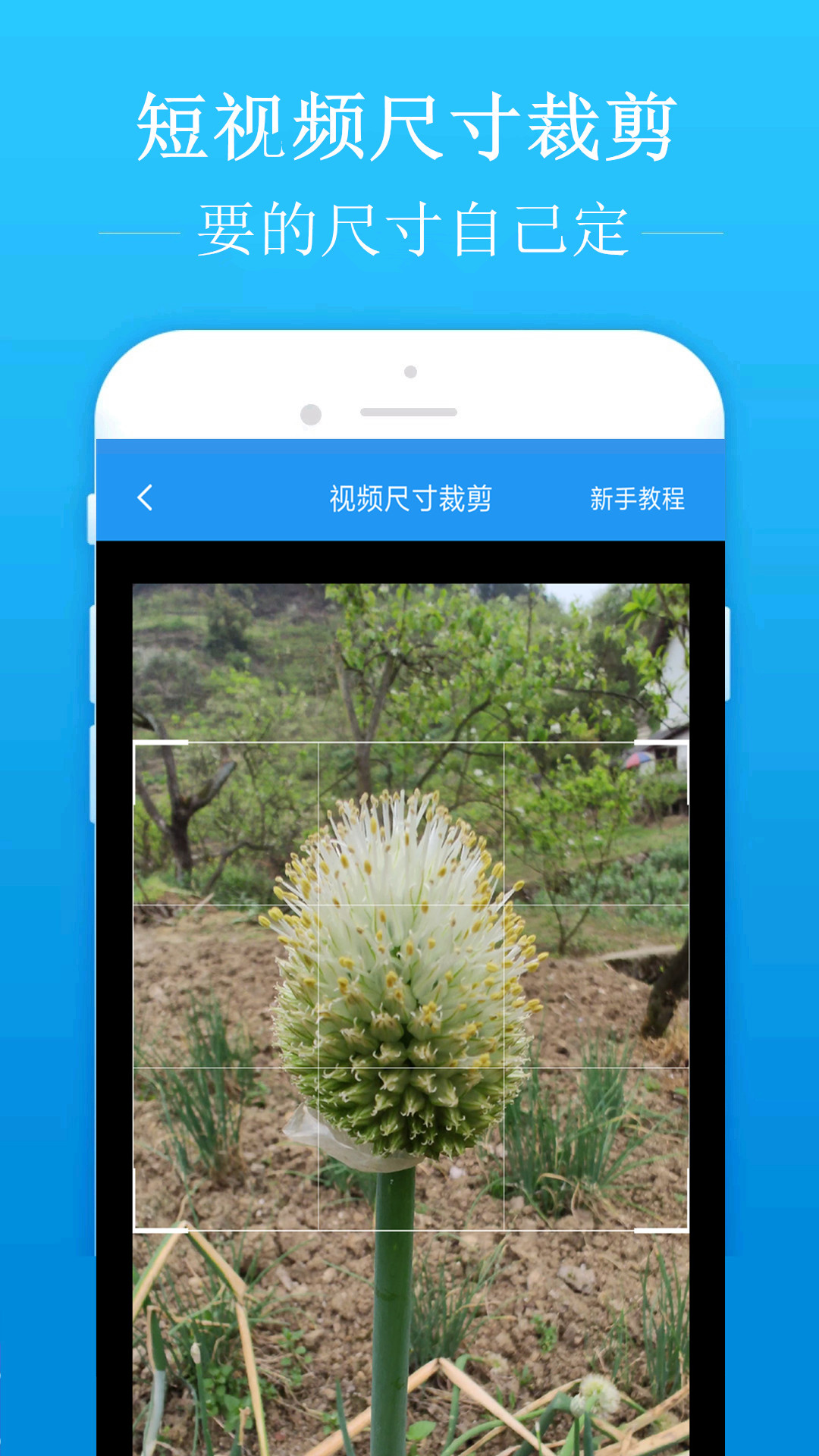 去水印吧app图2