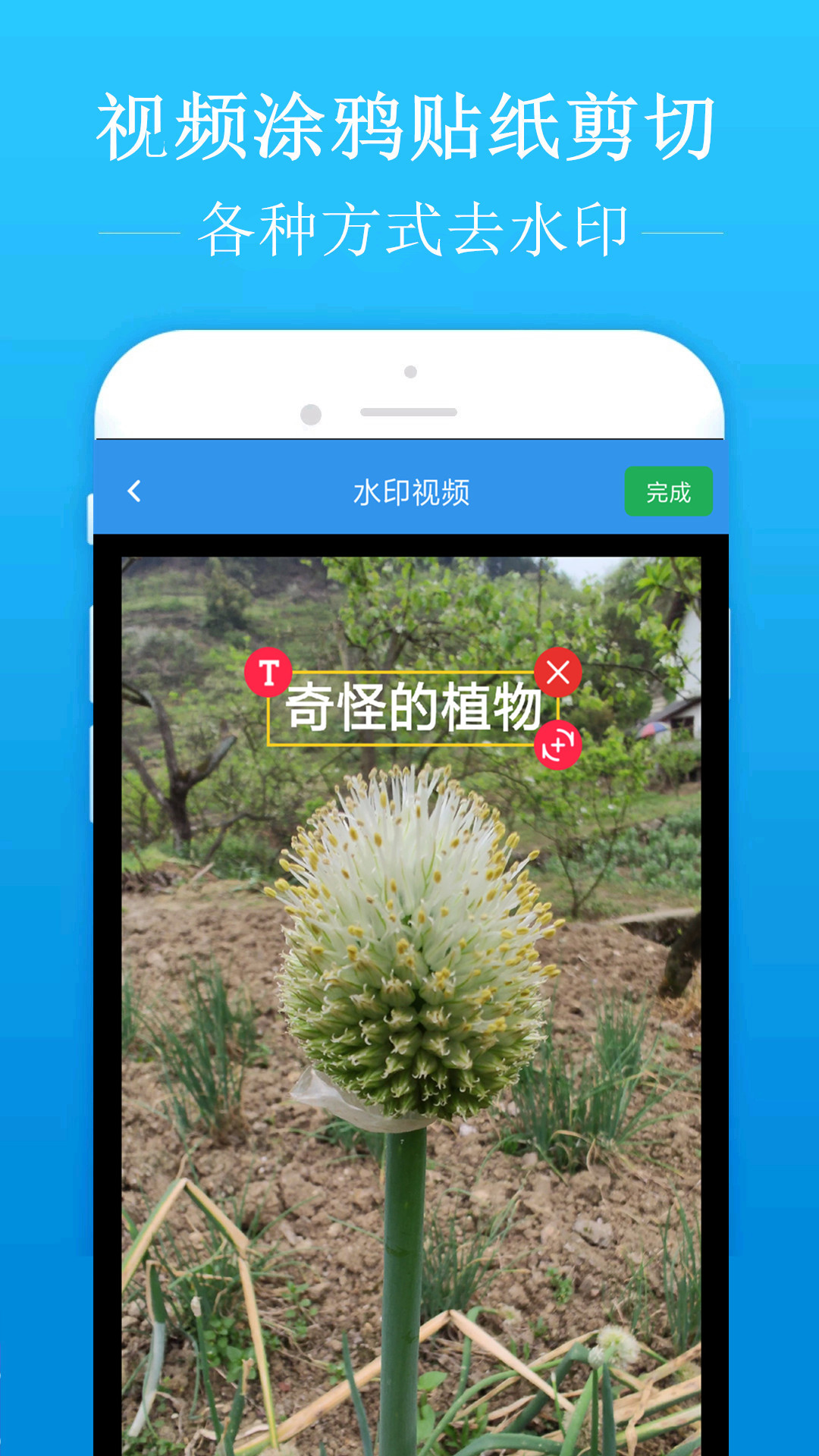 去水印吧app图3