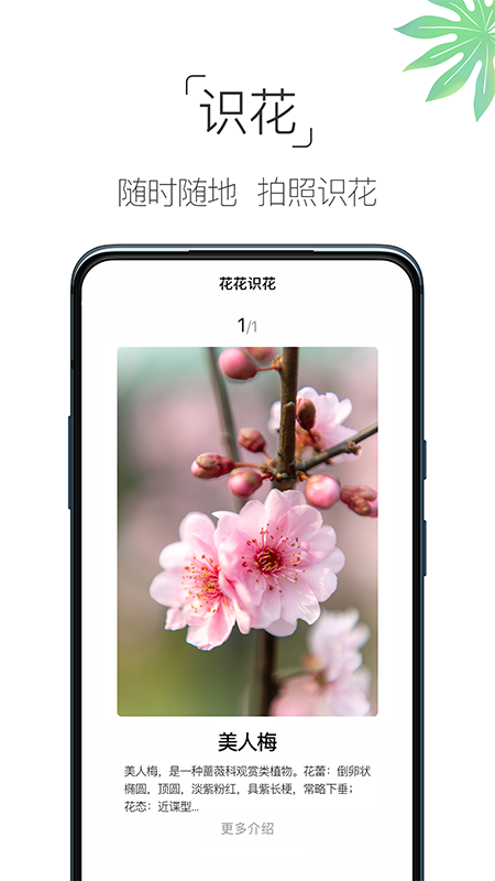 养花大全app图2