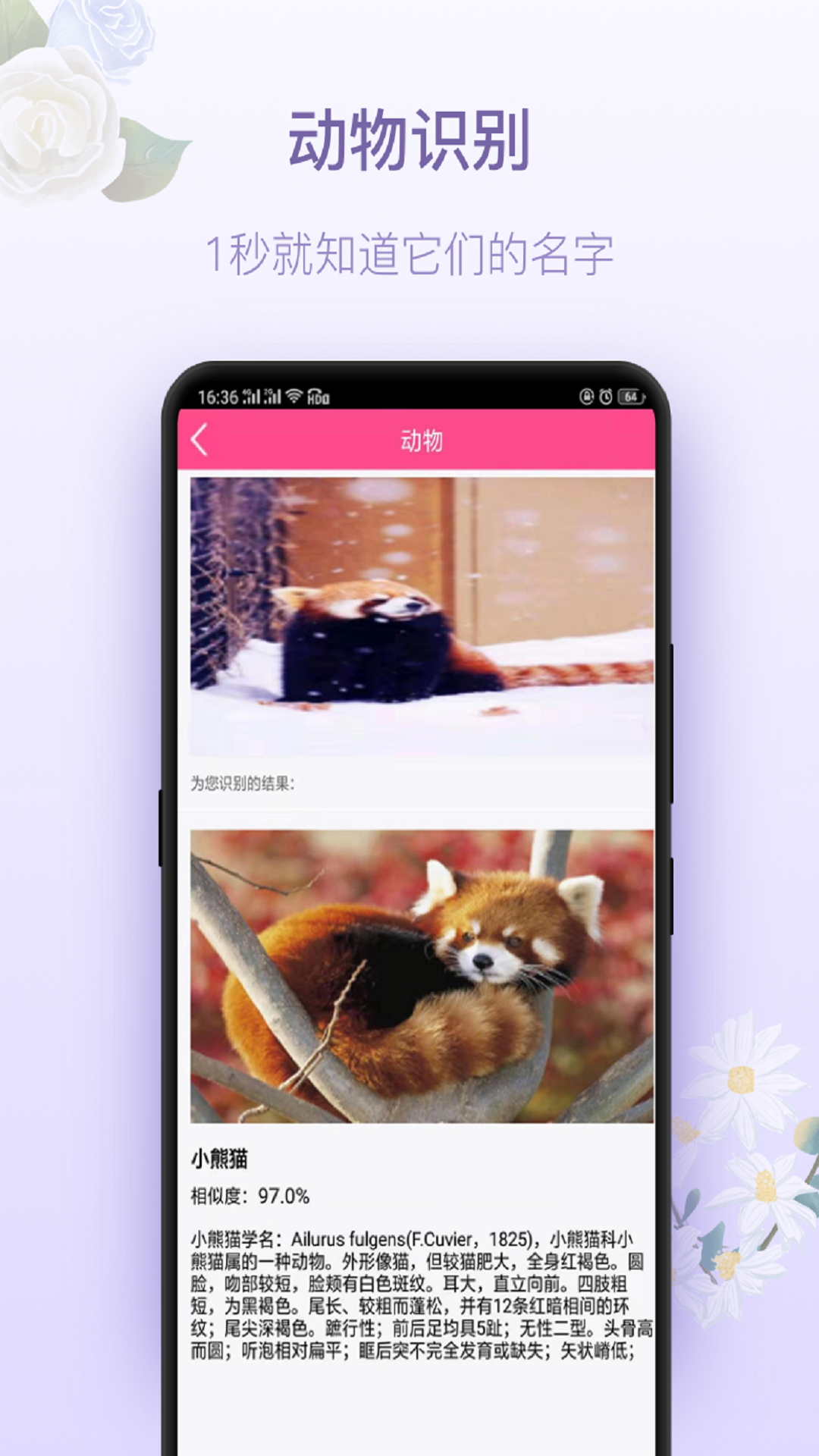 拍照识花神器app图3