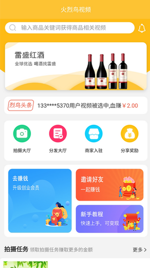 火烈鸟视频图2