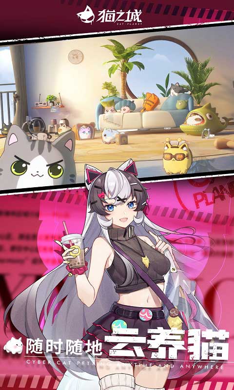 猫之城游戏图3