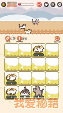 吸猫2048图3