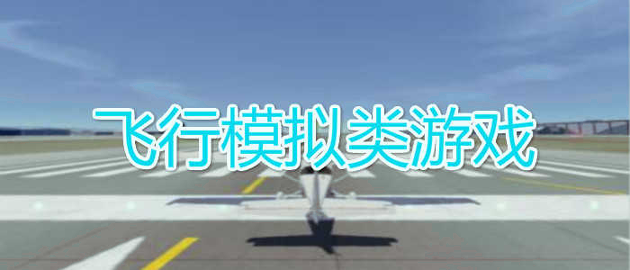 飞行模拟图2