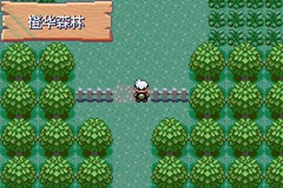 RogueSpirit中文版图1