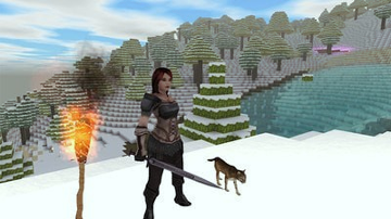 我的魔法世界图4