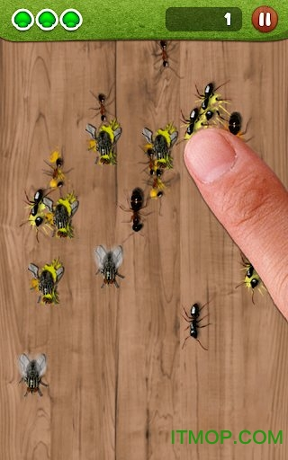 蚂蚁捣蛋图2
