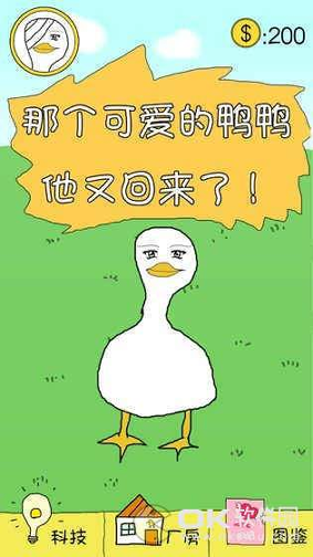 冬日里的那只鸭图2