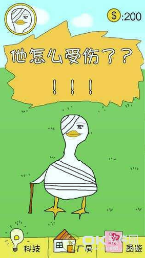 冬日里的那只鸭图3